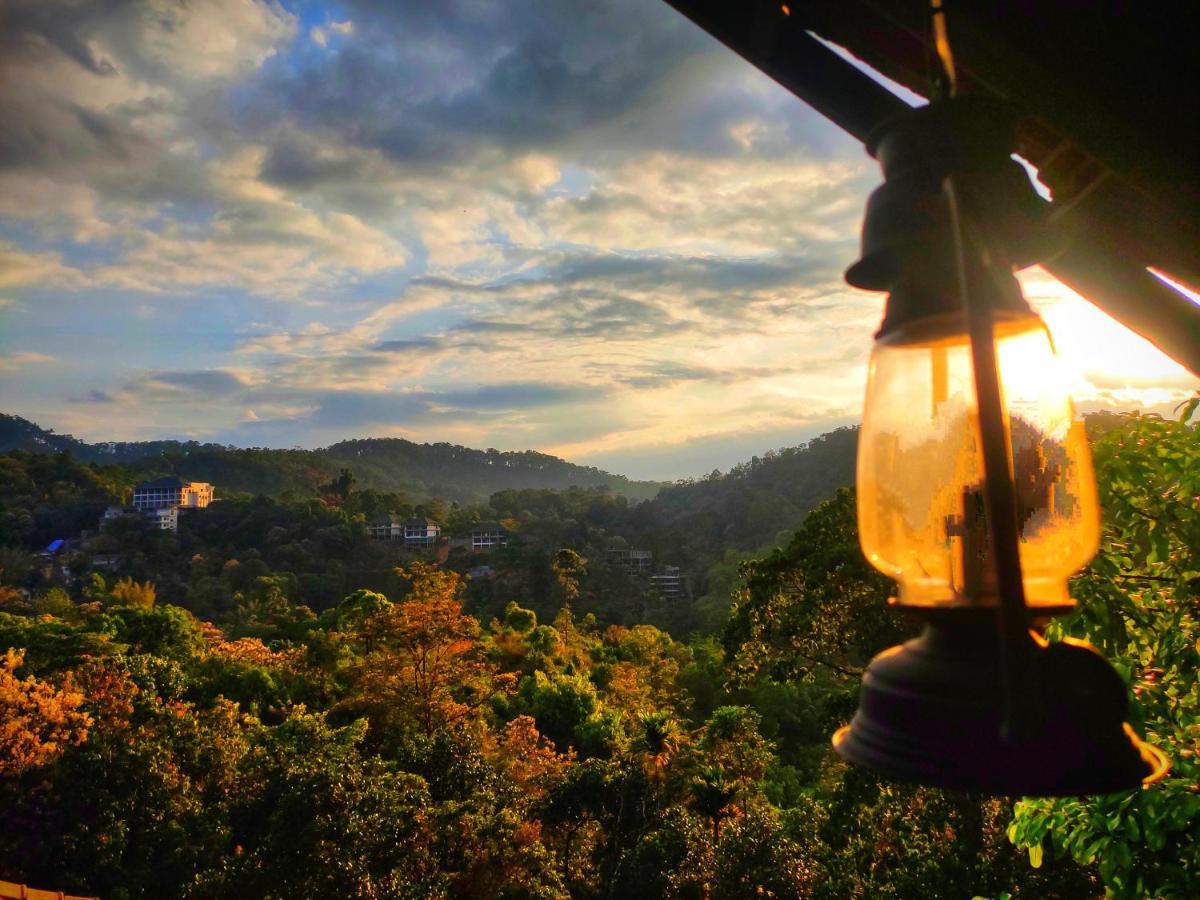 The Wild Trails Clarks Exotica , Munnar Hotel Bagian luar foto