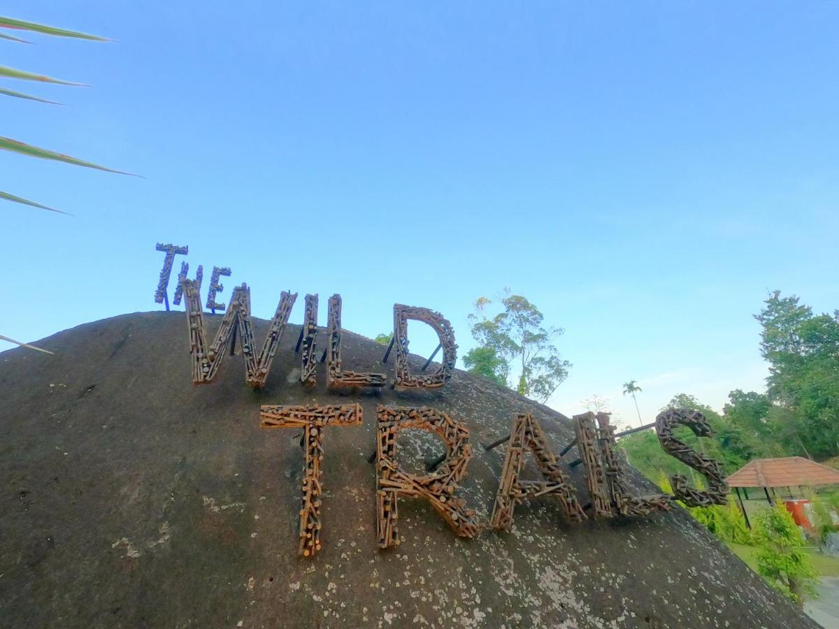 The Wild Trails Clarks Exotica , Munnar Hotel Bagian luar foto