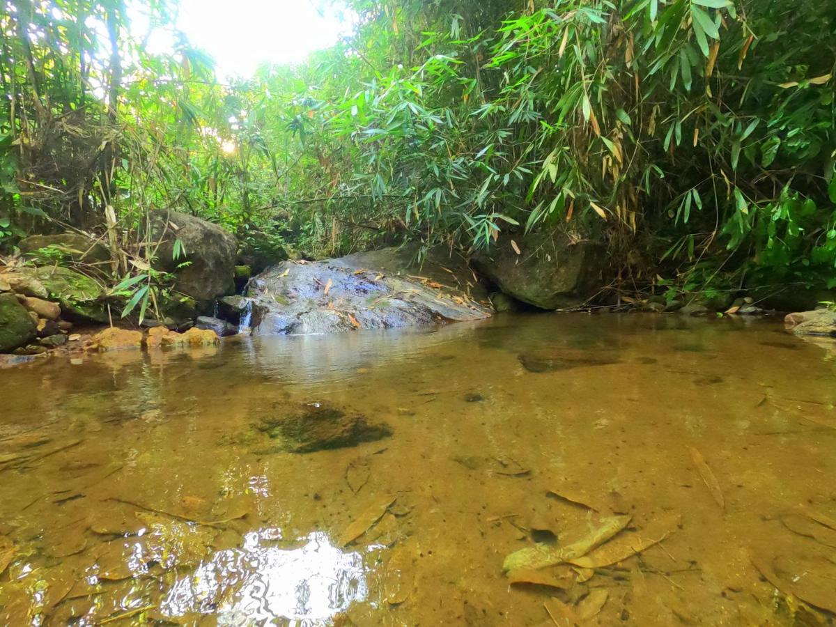 The Wild Trails Clarks Exotica , Munnar Hotel Bagian luar foto