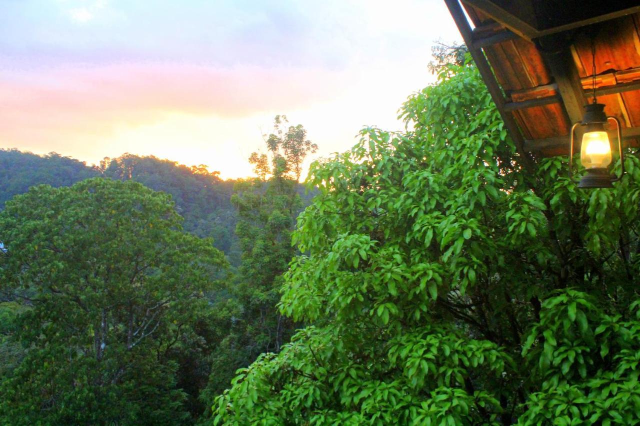 The Wild Trails Clarks Exotica , Munnar Hotel Bagian luar foto