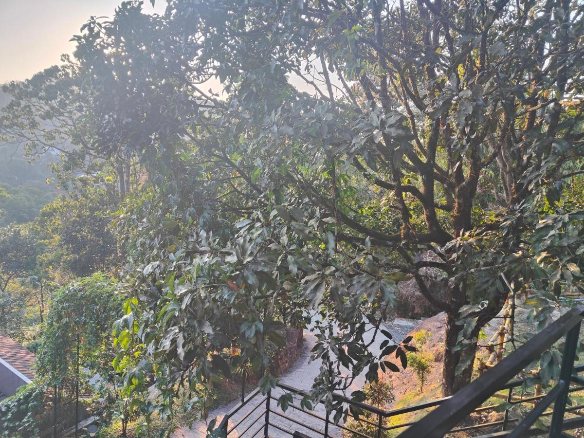 The Wild Trails Clarks Exotica , Munnar Hotel Bagian luar foto