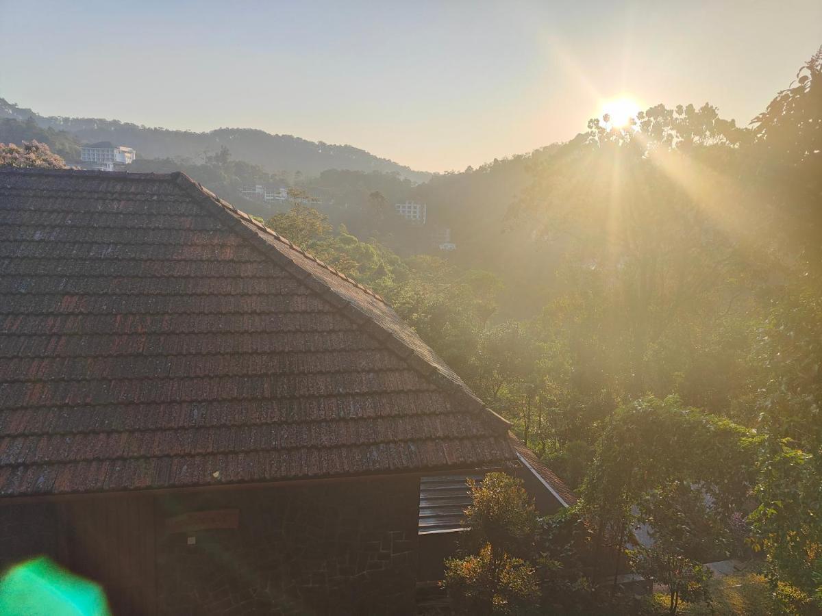 The Wild Trails Clarks Exotica , Munnar Hotel Bagian luar foto